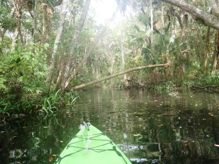 Paddling Homosassa River, kayak, canoe