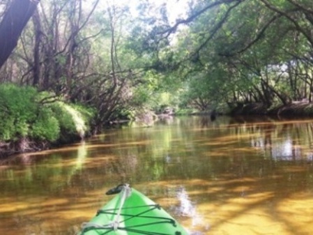 paddle Little Manatee River, kayak, canoe