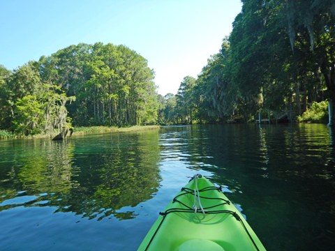 paddle Rainbow River, kayak, canoe