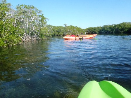 paddling Pennekamp State Park, Florida Keys, kayak, canoe