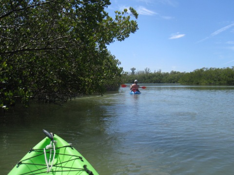 paddle Big Hickory, Great Calusa Blueway, kayak, canoe