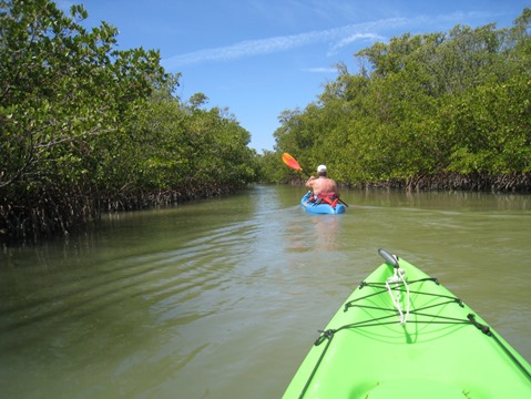 Paddle Estero Bay, Big Hickory Island - Kayak, Canoe