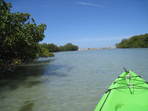 Paddle Estero Bay, Big Hickory Island - Kayak, Canoe