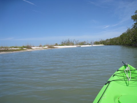 Paddle Estero Bay, Big Hickory Island - Kayak, Canoe