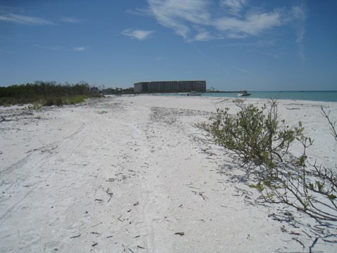 Paddle Estero Bay, Big Hickory Island - Kayak, Canoe