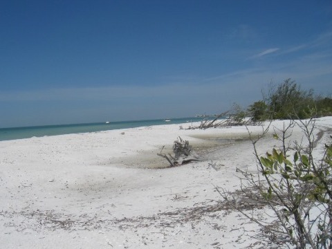 Paddle Estero Bay, Big Hickory Island - Kayak, Canoe