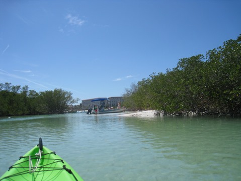 Paddle Estero Bay, Big Hickory Island - Kayak, Canoe