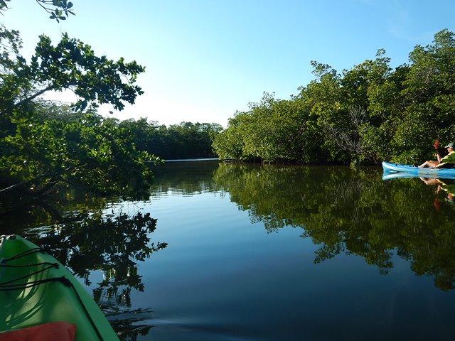 paddle Bunche Beach, Great Calusa Blueway, kayak, canoe