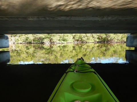 paddling Bunche Beach, Great Calusa Blueway, kayak, canoe