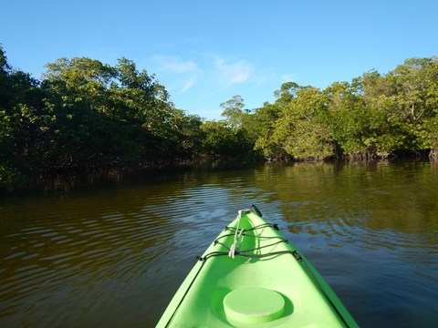 paddling Bunche Beach, Great Calusa Blueway, kayak, canoe