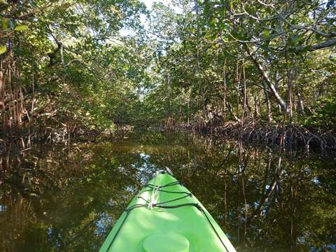 paddling Bunche Beach, Great Calusa Blueway, kayak, canoe