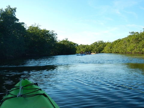 paddling Bunche Beach, Great Calusa Blueway, kayak, canoe