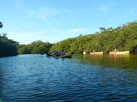 paddling Bunche Beach, Great Calusa Blueway, kayak, canoe