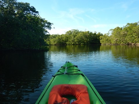 paddling Bunche Beach, Great Calusa Blueway, kayak, canoe