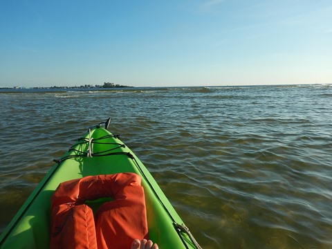 paddling Bunche Beach, Great Calusa Blueway, kayak, canoe