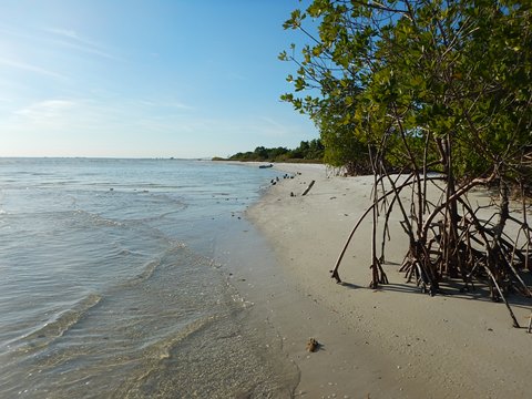 paddling Bunche Beach, Great Calusa Blueway, kayak, canoe