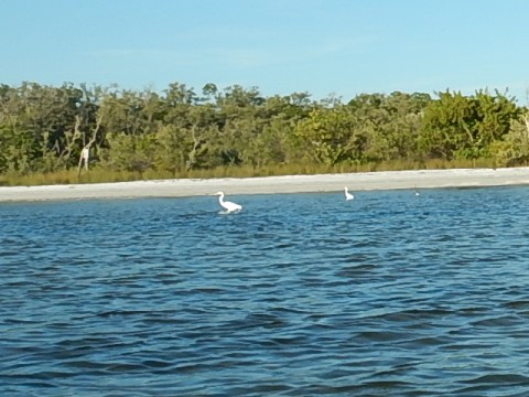 paddling Bunche Beach, Great Calusa Blueway, kayak, canoe