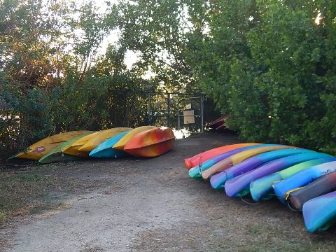 paddling Caloosahatchee River, Great Calusa Blueway, kayak, canoe