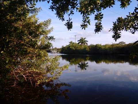 paddling Caloosahatchee River, Great Calusa Blueway, kayak, canoe