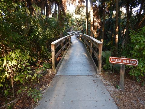 paddling Caloosahatchee River, Great Calusa Blueway, kayak, canoe