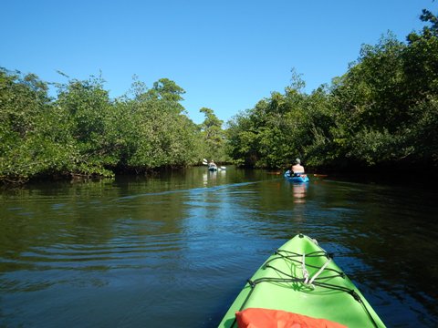 paddling Estero River, Great Calusa Blueway, kayak, canoe