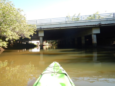 paddling Estero River, Great Calusa Blueway, kayak, canoe