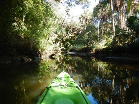 paddling Estero River, Great Calusa Blueway, kayak, canoe