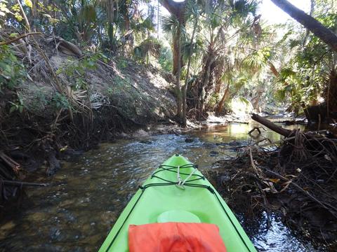 paddling Estero River, Great Calusa Blueway, kayak, canoe