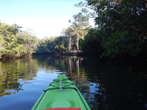 paddling Estero River, Great Calusa Blueway, kayak, canoe