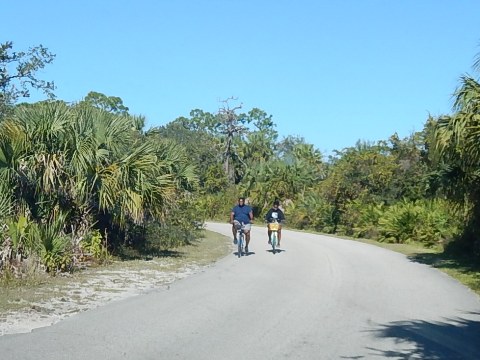 paddling Estero River, Great Calusa Blueway, kayak, canoe