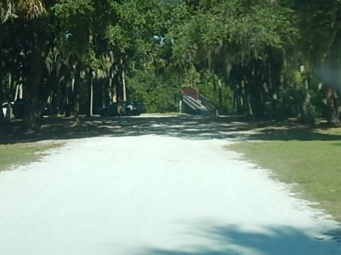 paddling Imperial River, Great Calusa Blueway, kayak, canoe