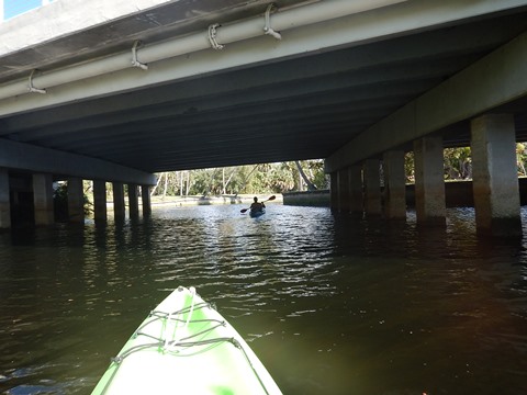 paddling Imperial River, Great Calusa Blueway, kayak, canoe