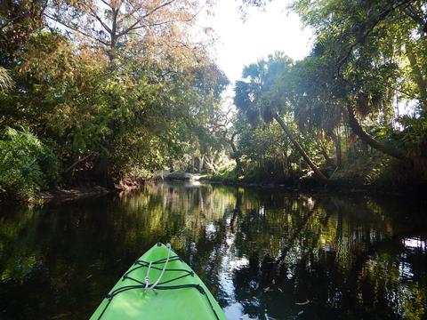 paddling Imperial River, Great Calusa Blueway, kayak, canoe