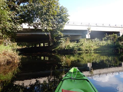 paddling Imperial River, Great Calusa Blueway, kayak, canoe