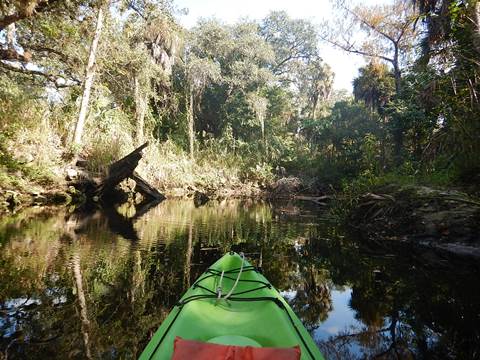 paddling Imperial River, Great Calusa Blueway, kayak, canoe