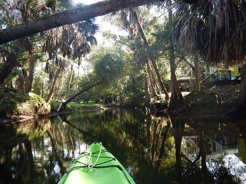 paddling Imperial River, Great Calusa Blueway, kayak, canoe