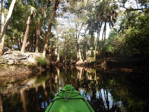 paddling Imperial River, Great Calusa Blueway, kayak, canoe