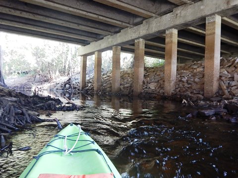 paddling Imperial River, Great Calusa Blueway, kayak, canoe