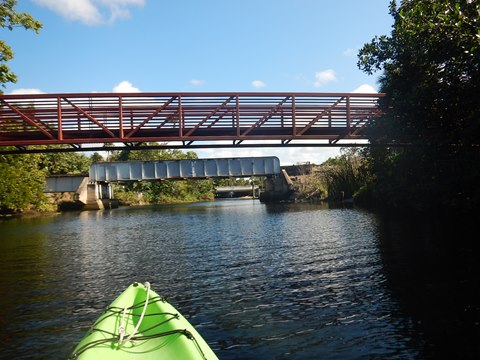 paddling Imperial River, Great Calusa Blueway, kayak, canoe