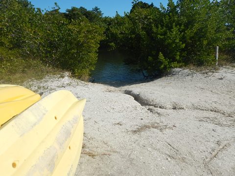 paddling Lovers Key, Great Calusa Blueway, kayak, canoe