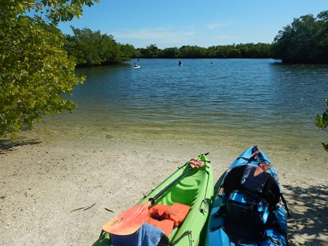 paddling Lovers Key, Great Calusa Blueway, kayak, canoe