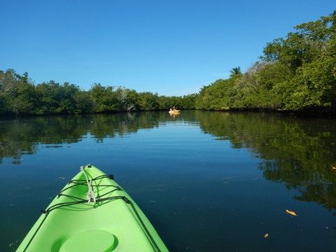 paddling Lovers Key, Great Calusa Blueway, kayak, canoe