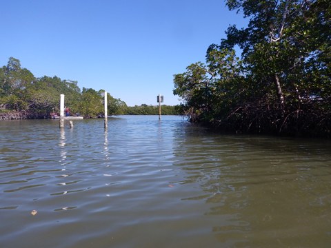 paddling Lovers Key, Great Calusa Blueway, kayak, canoe