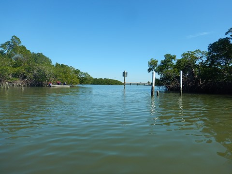 paddling Lovers Key, Great Calusa Blueway, kayak, canoe