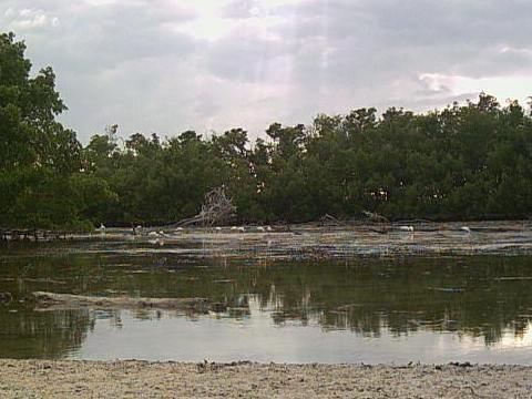 paddling Lovers Key, Great Calusa Blueway, kayak, canoe