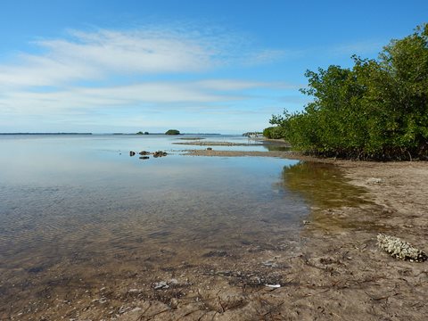 paddling Pine Island, Matlacha, Great Calusa Blueway, kayak, canoe