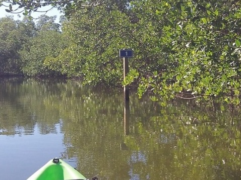 paddling Sanibel Island, Commodore Creek