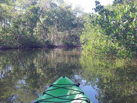 paddling Sanibel Island, Commodore Creek