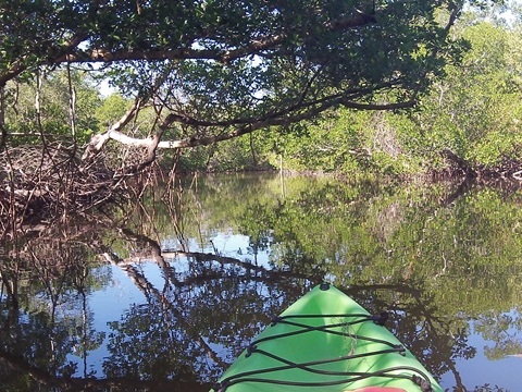 paddling Sanibel Island, Commodore Creek