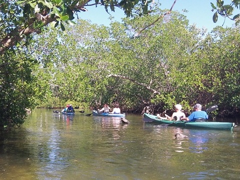 paddling Sanibel Island, Commodore Creek